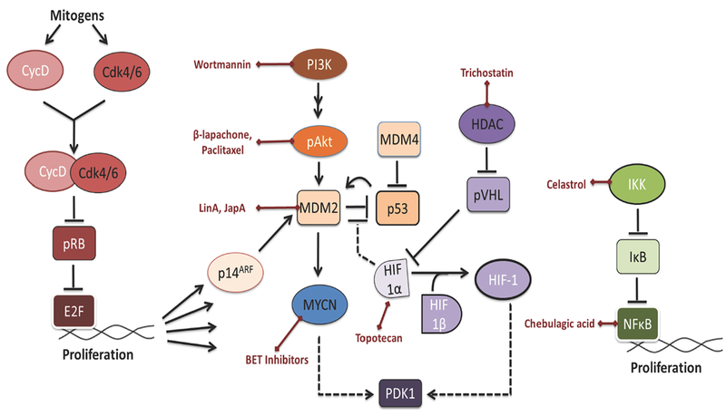 Figure 2: