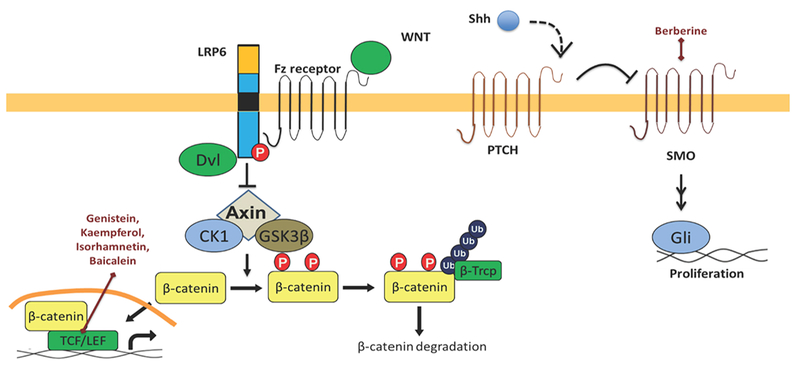 Figure 4: