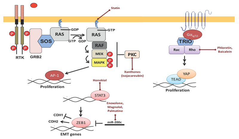 Figure 3: