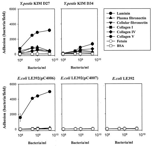 FIG. 3