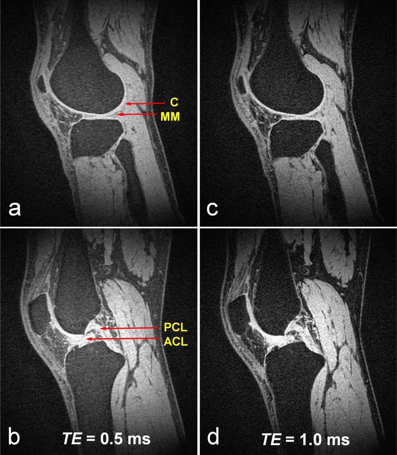 FIG. 6