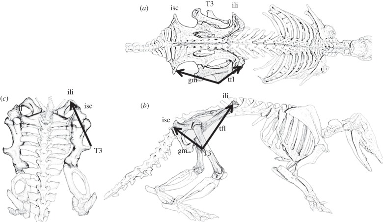 Figure 1.