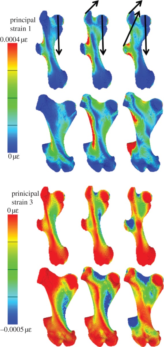 Figure 3.