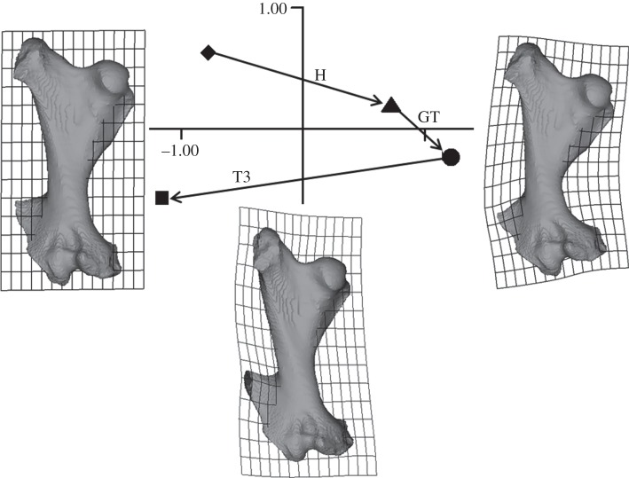 Figure 5.