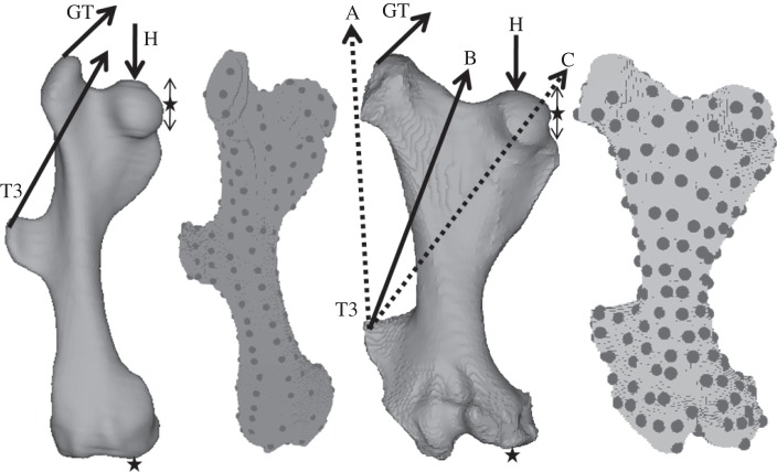 Figure 2.