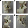 Fig. 4
