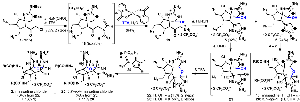 Scheme 1