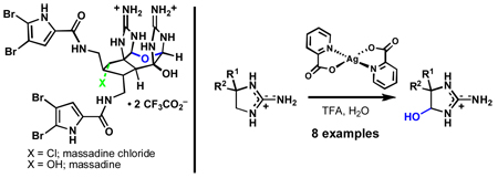 graphic file with name nihms219969f3.jpg