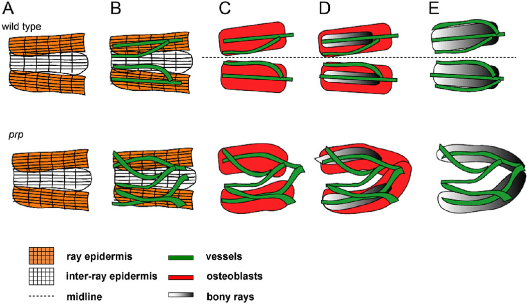 Fig. 9