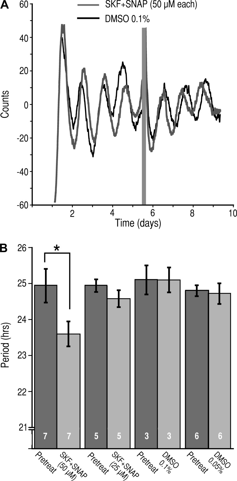 Fig. 10.