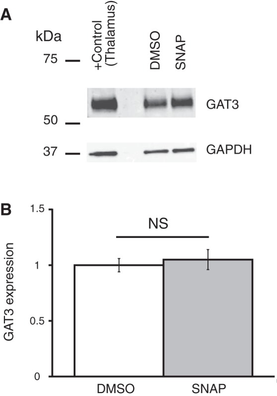 Fig. 9.