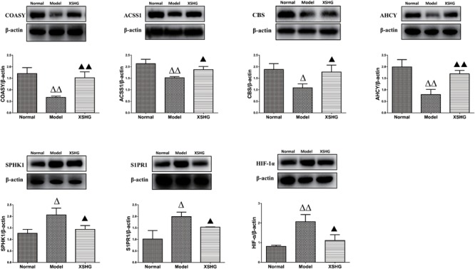 FIGURE 9