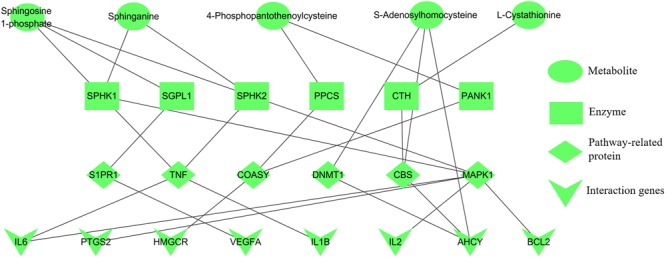 FIGURE 7