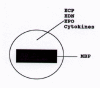 Figure 2b.