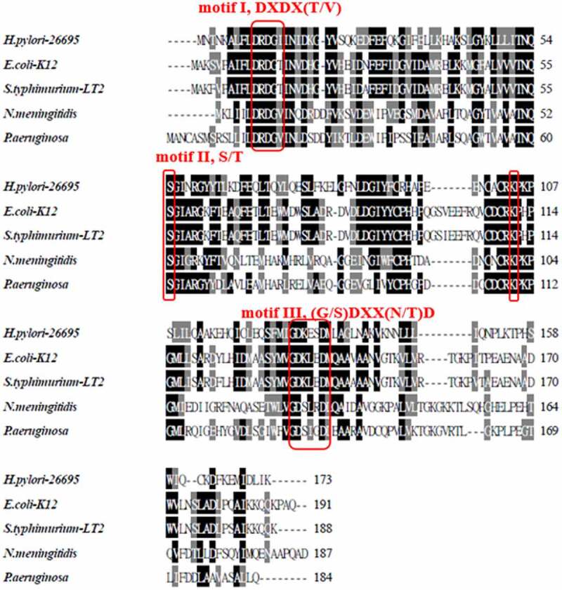 Figure 2.