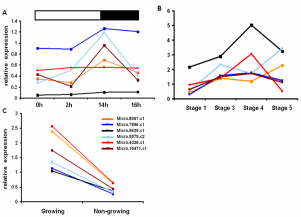 Figure 14