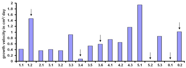 Figure 11