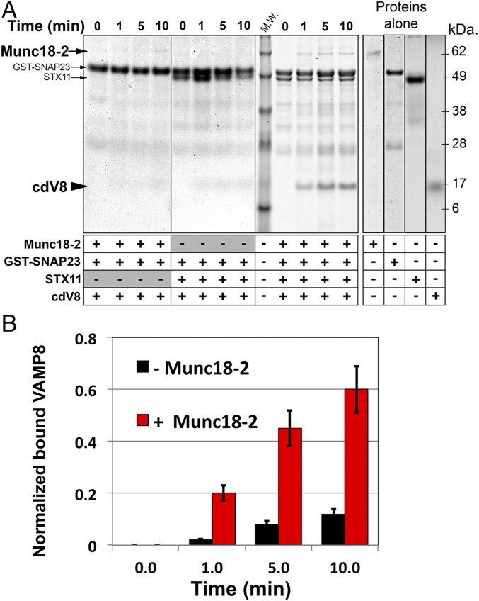 Fig. 6.