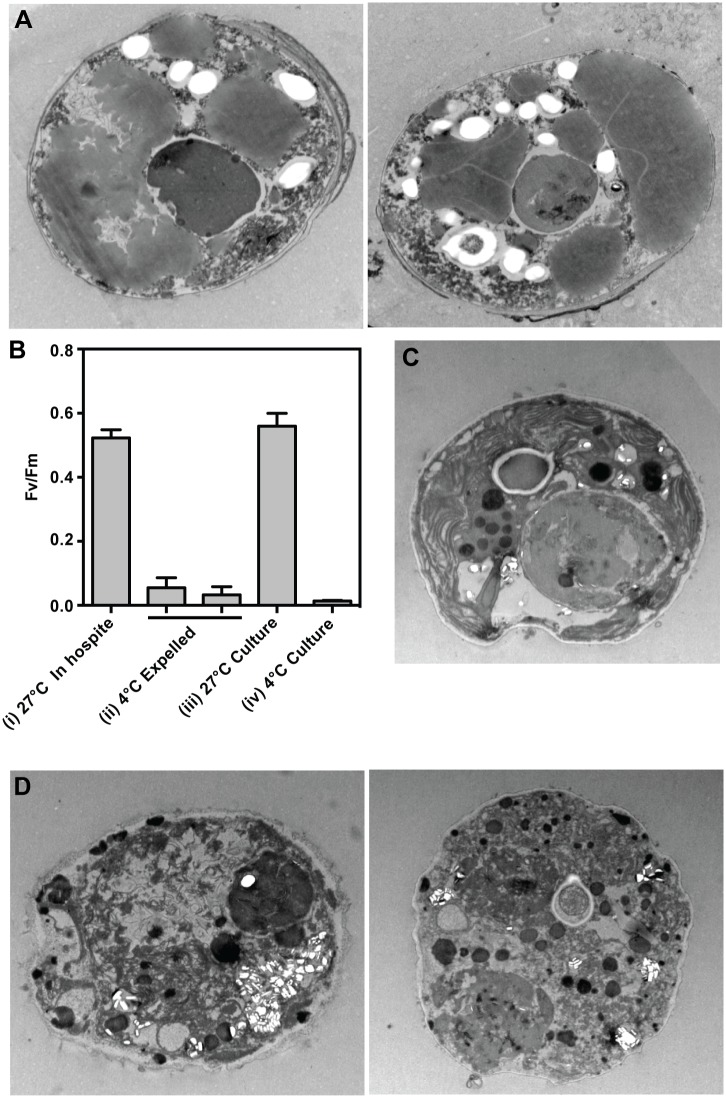 Fig 8