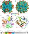 FIG 1