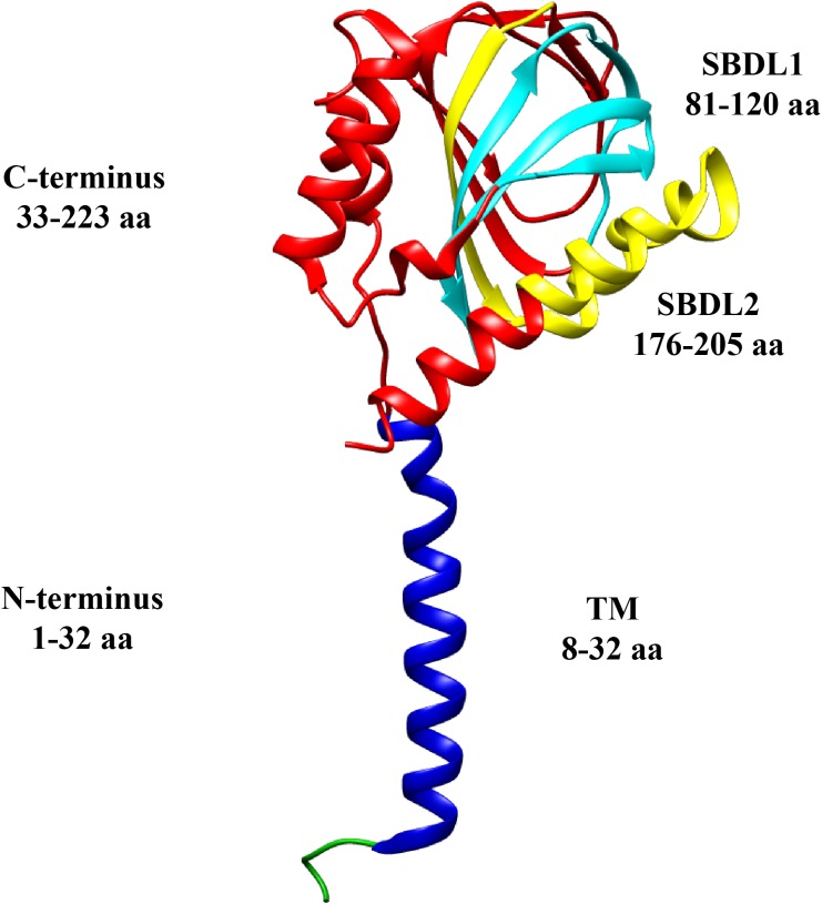 FIGURE 1