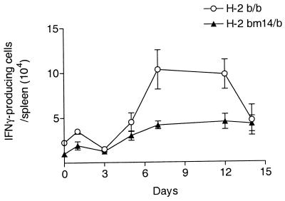 FIG. 5