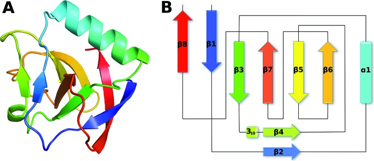 Fig 1