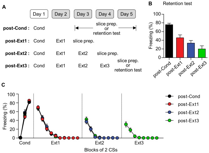 Figure 3—figure supplement 1.