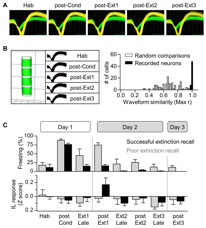 Figure 1—figure supplement 1.