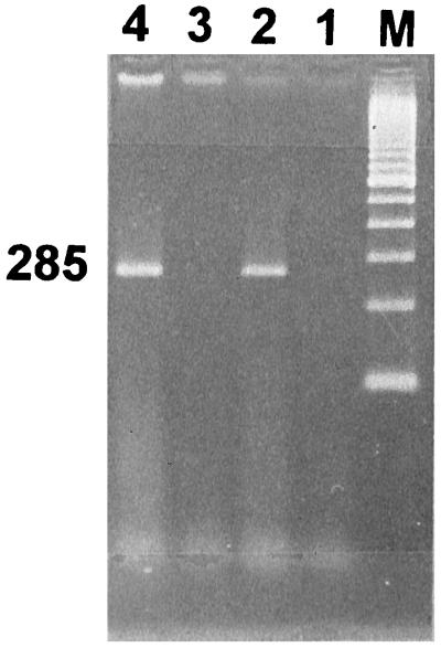 FIG. 5