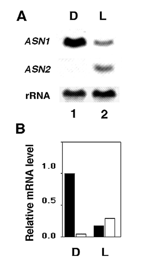 Figure 13.