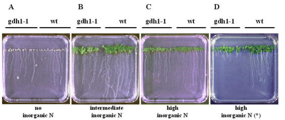 Figure 9.