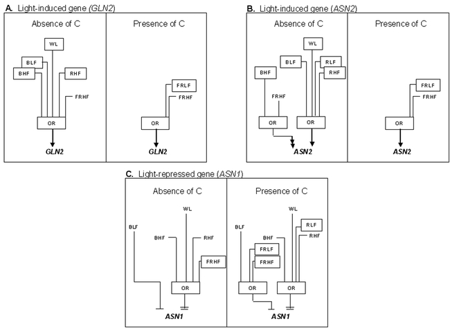 Figure 17.