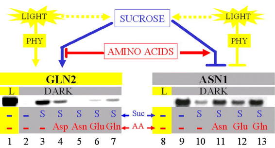 Figure 15.