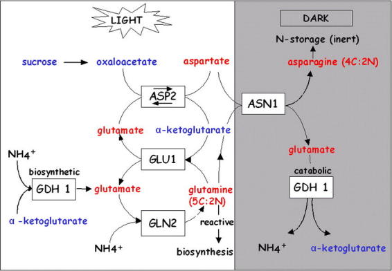 Figure 14.