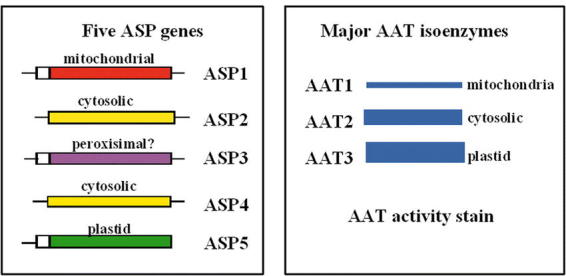 Figure 10.