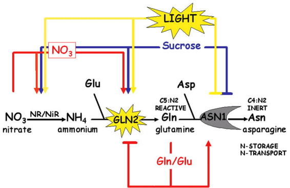 Figure 16.