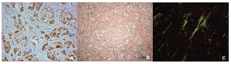 Fig. (4)