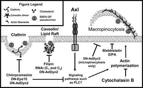 FIG. 8.