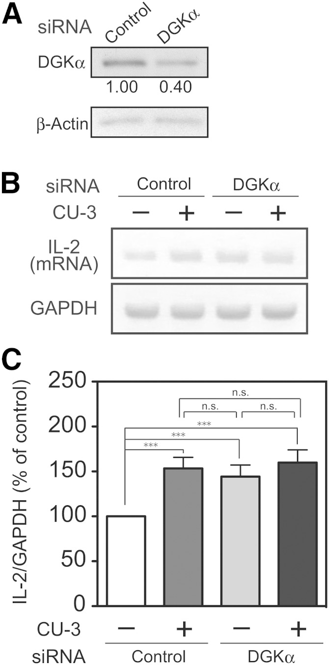 Fig. 11.