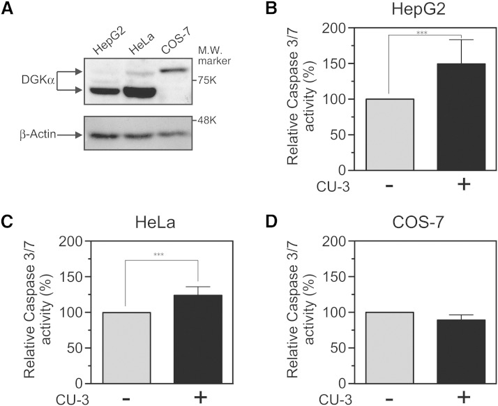 Fig. 9.