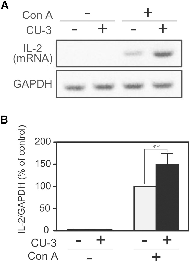 Fig. 10.