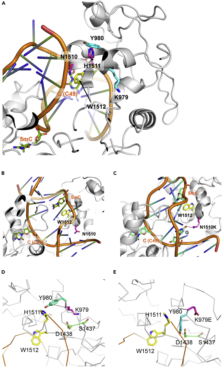 Figure 4