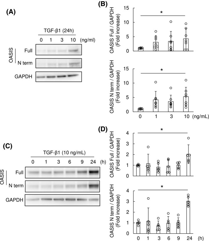 FIGURE 4