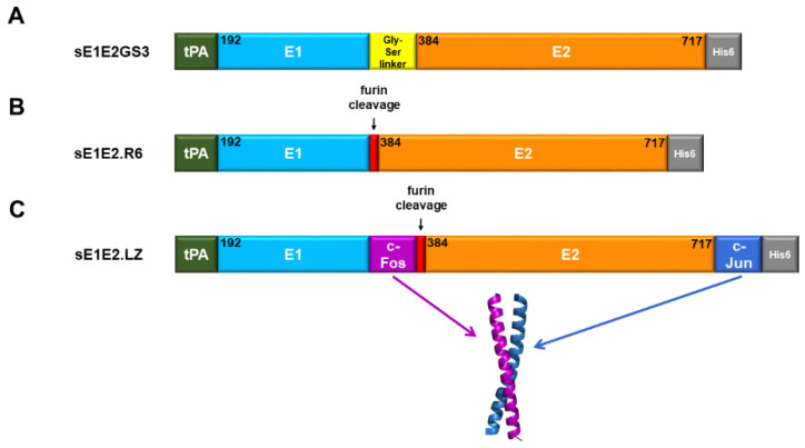 Figure 11