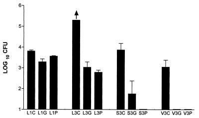 FIG. 8