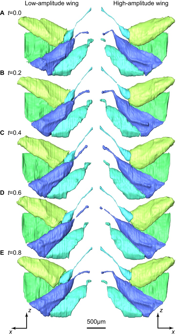 Figure 4