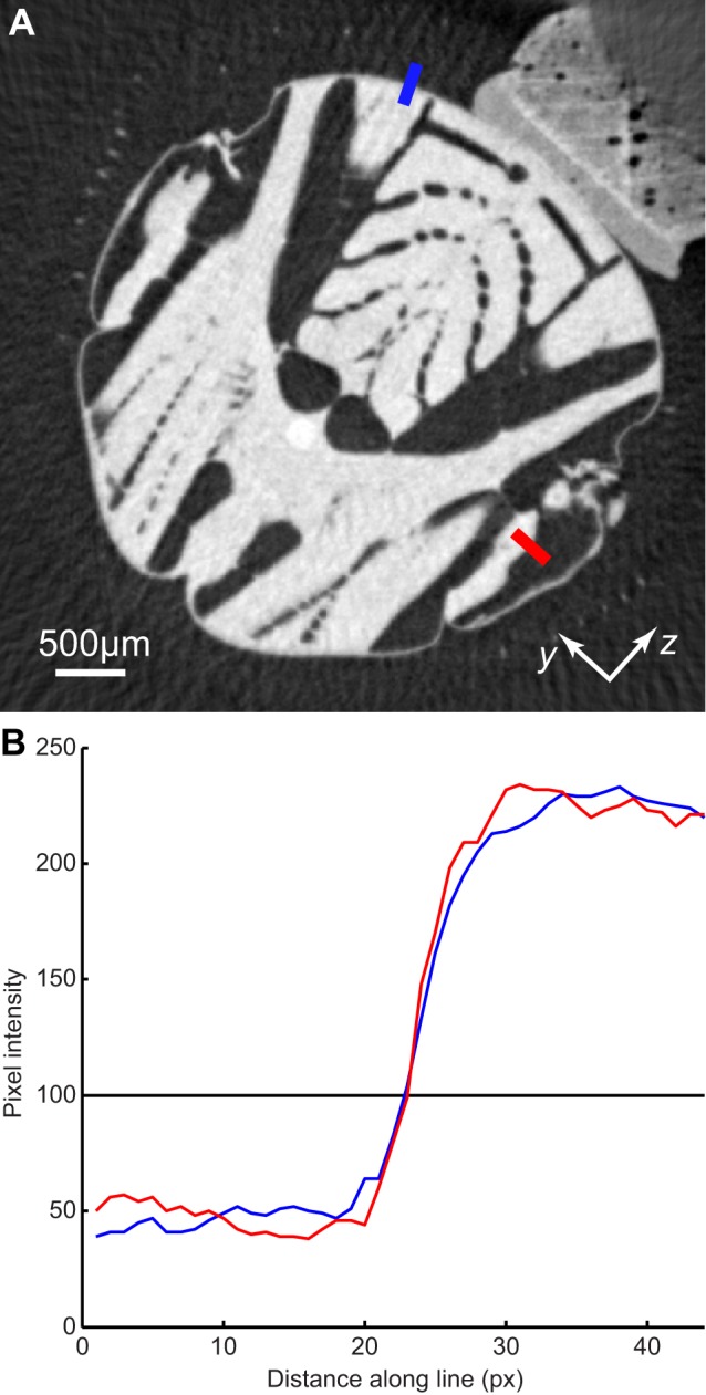 Figure 10