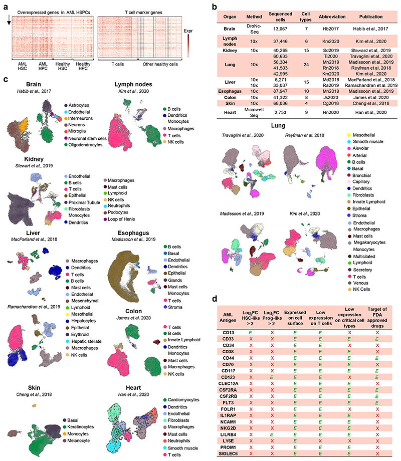 Extended Data Figure 1