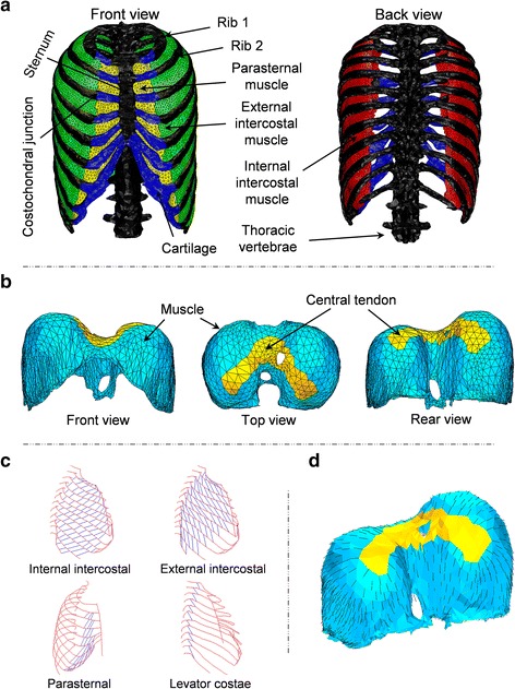 Fig. 1